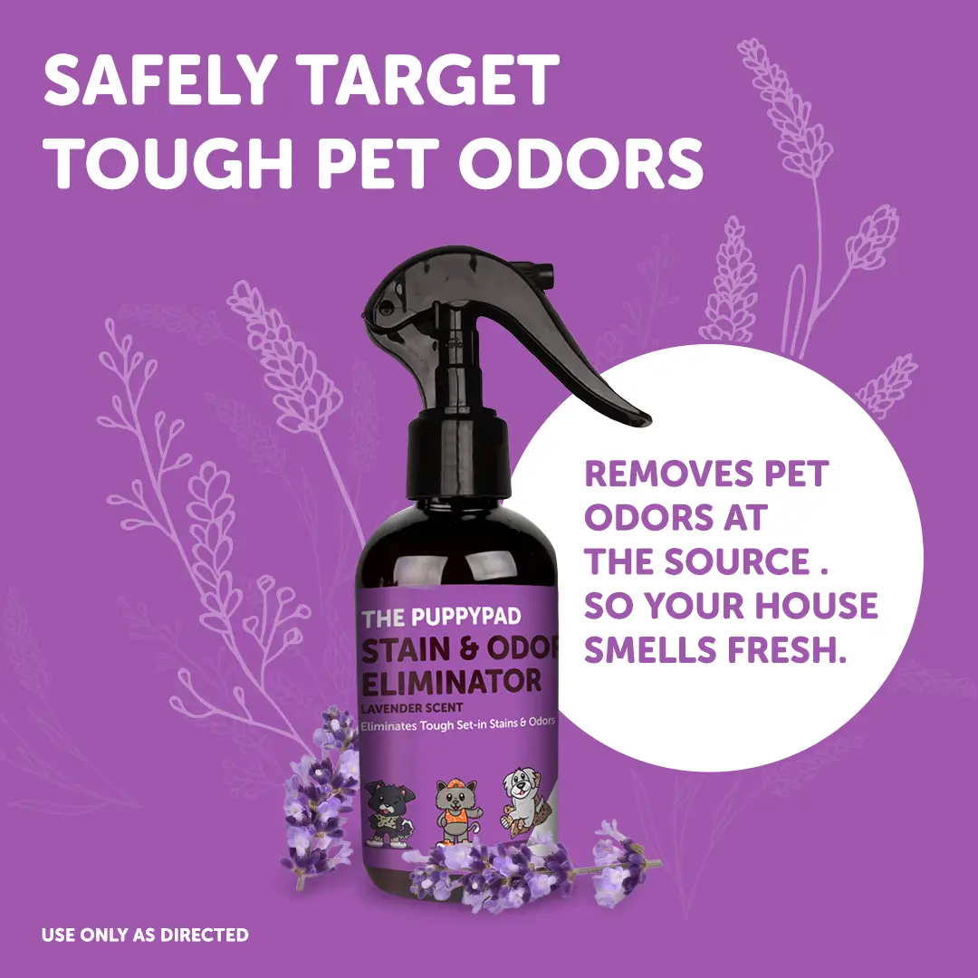 PuppyPad Stain & Odor Eliminator Spray - Image 3